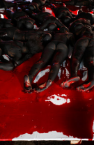 Vanessa Beecroft animalista